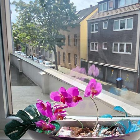 Elena Flat Orchidee Duisburg Zentrum Esterno foto
